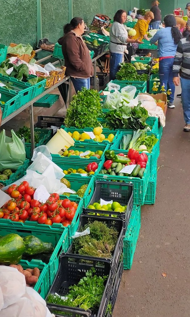 market in Santo da Serra